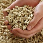 stroge-norme-i-analize-donesen-pravilnik-o-peletu-na-trzistu-srbije-pelet_67fc03f4ce005