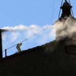 White smoke signals conclave has elected new pope