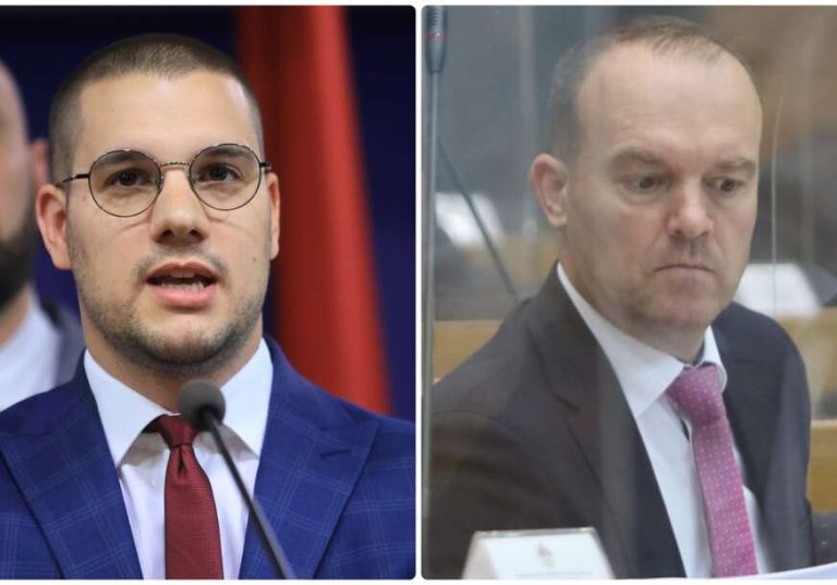 vucinic tamindzija