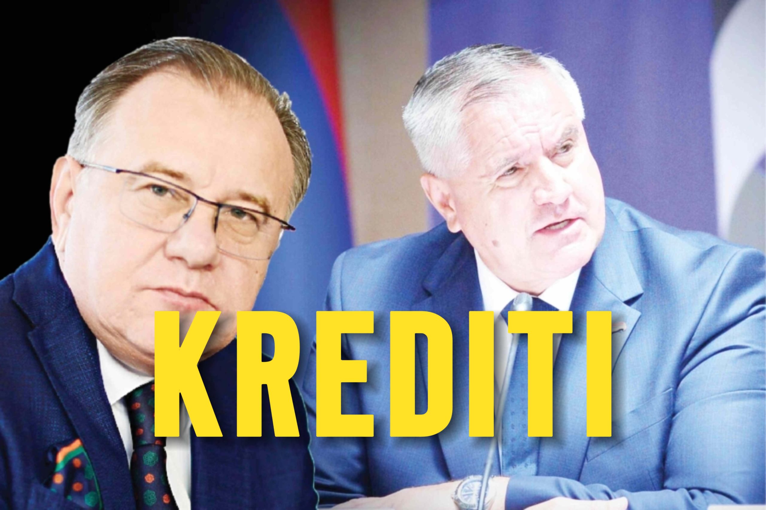 NIKSIC VIDKOVIC KREDIT