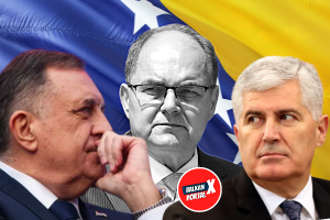 OGLASILI SE IZ DELEGACIJE EU: Schmidt je omogućio elektronsko glasanje