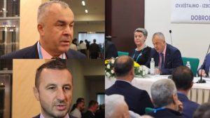 Stranka za BiH se uveliko sprema za zauzimanje fotelja i funkcija