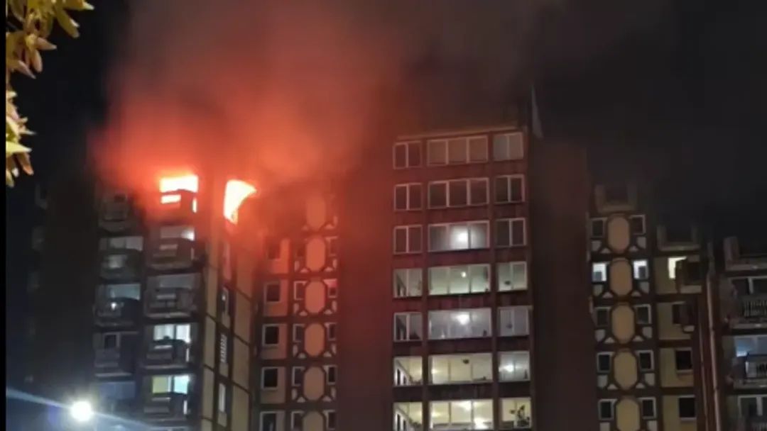 FB_IMG_1762498535047