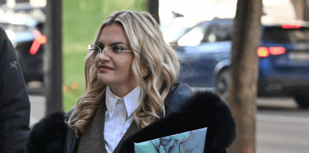 sdp bih savjetnica niksica