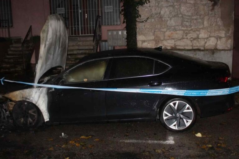 vuledsasadsadsadsadsadsadsadsa