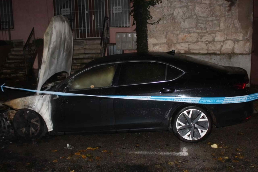 vuledsasadsadsadsadsadsadsadsa