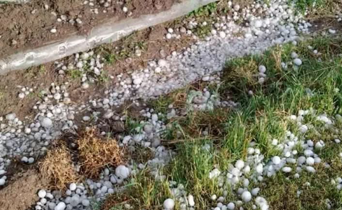 FB_IMG_1765467678742