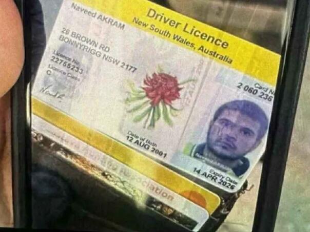 kod-sidnejskog-napadaca-pronadjena-clanska-karta-srpskog-lovackog-drustva-vozacka_693fd2cb63592