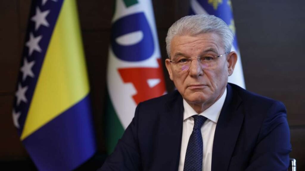 sefik_dzaferovic_fena