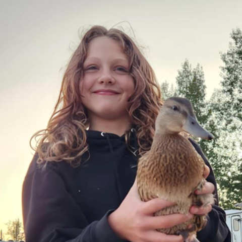 09ce7a25-68cd-47ec-bcbc-ff94629f4a01