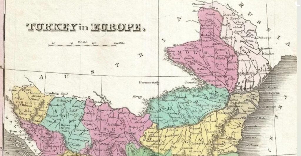 AISelect_20260220_072034_Firefox