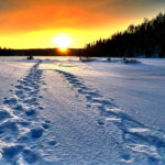 Alain-Audet-from-Pixabay