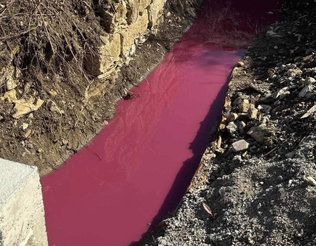 FB_IMG_1771758147751