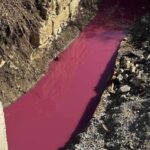 FB_IMG_1771758147751