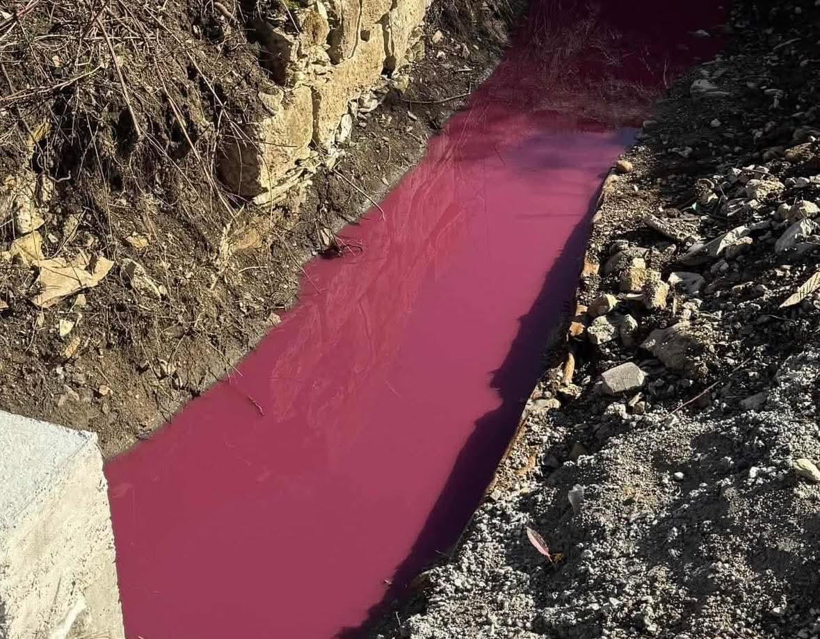 FB_IMG_1771758147751