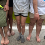 Screenshot-1465-780x470