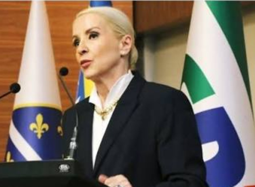 Screenshot_20260222_225211_Google