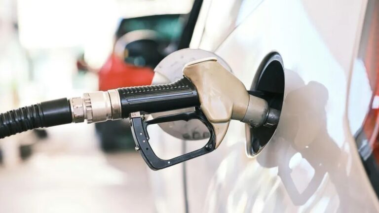 FB_IMG_1774592588561