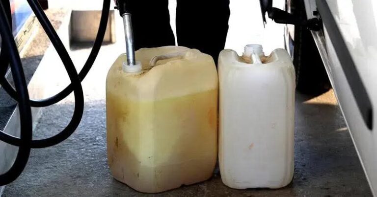 FB_IMG_1774870017545