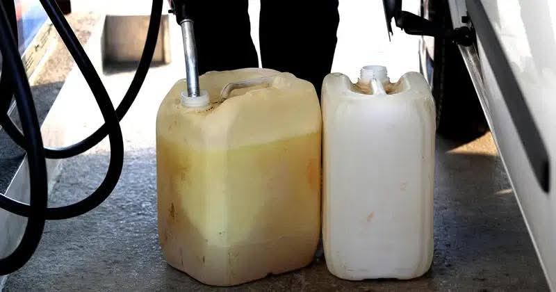 FB_IMG_1774870017545