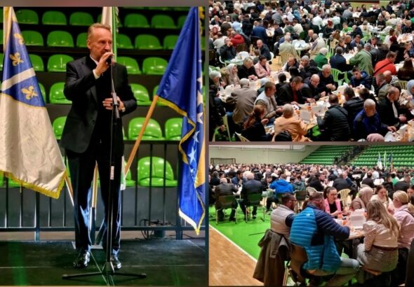 Screenshot_20260301_191108_Editor Lite