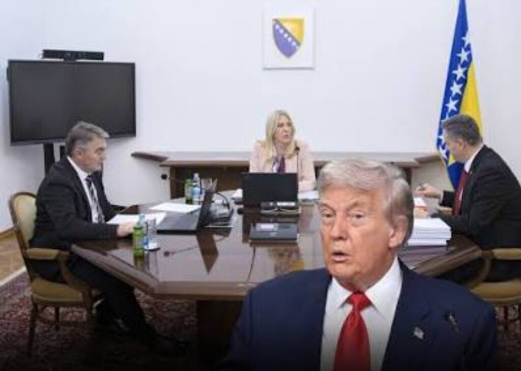 Screenshot_20260301_224141_Google