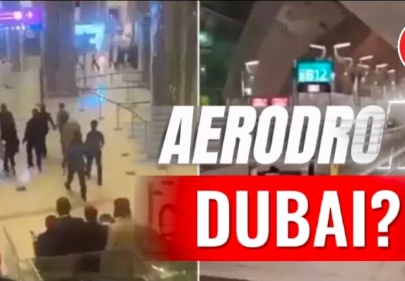 Screenshot_20260302_134029_Photo Editor