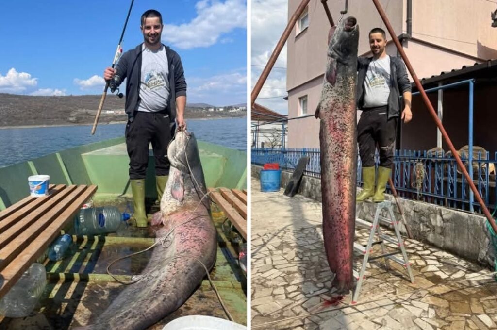 Screenshot_20260314_143856_Facebook