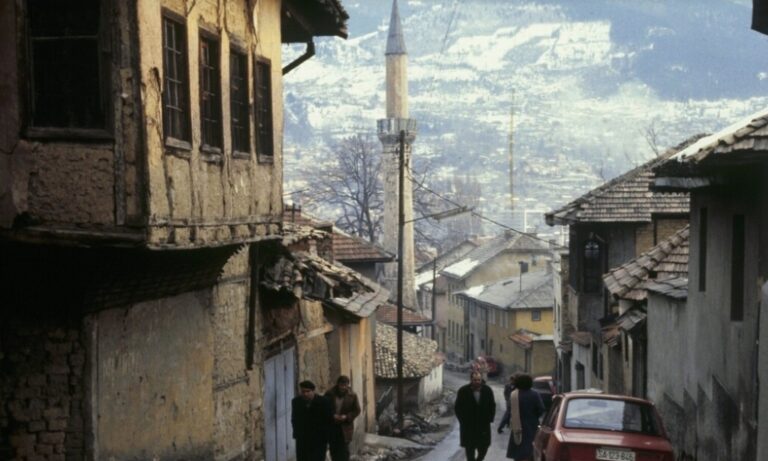 Screenshot_20260317_044308_Google