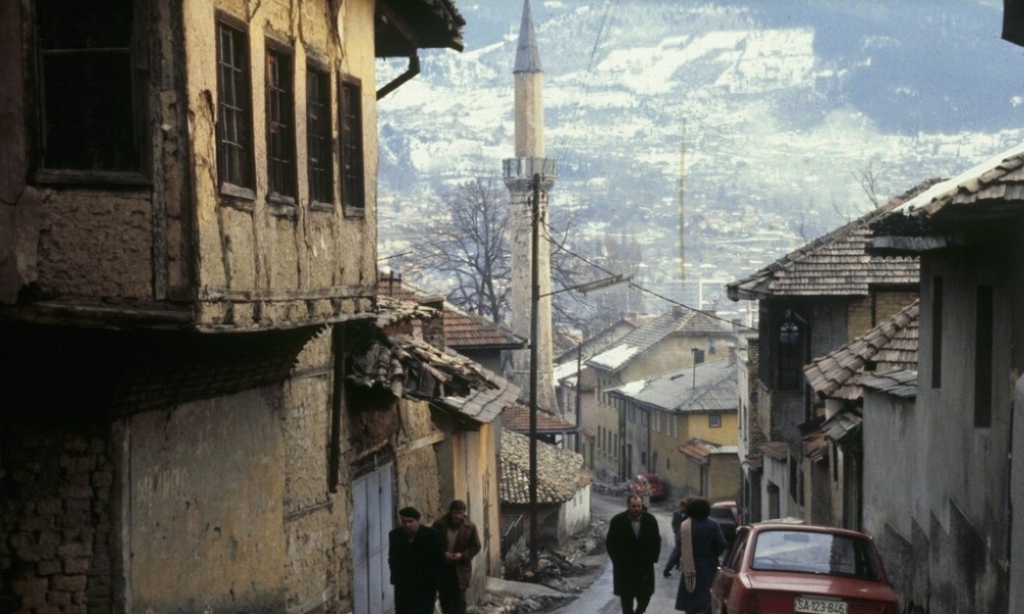 Screenshot_20260317_044308_Google