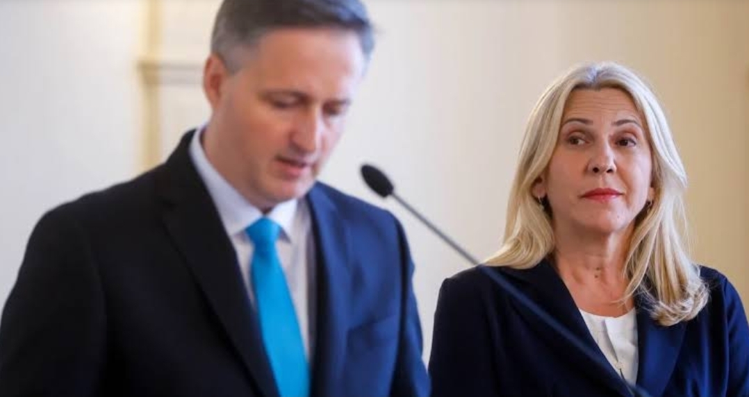 Screenshot_20260319_040510_Google