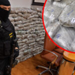 droga-hrvatska-zaplijena