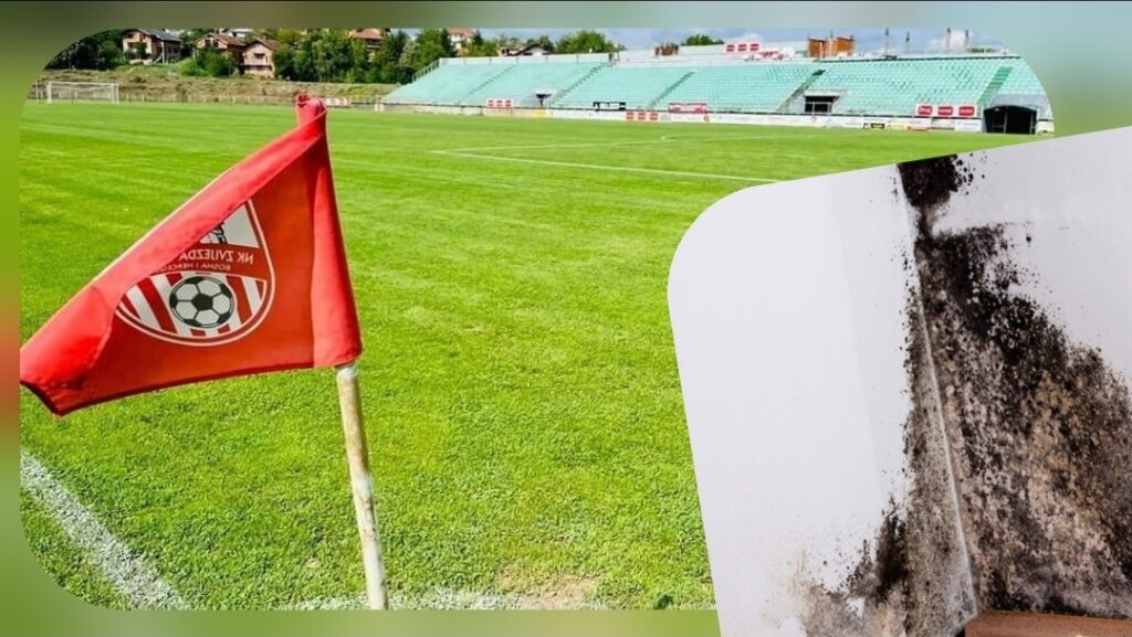 Screenshot_20260405_094137_Editor Lite