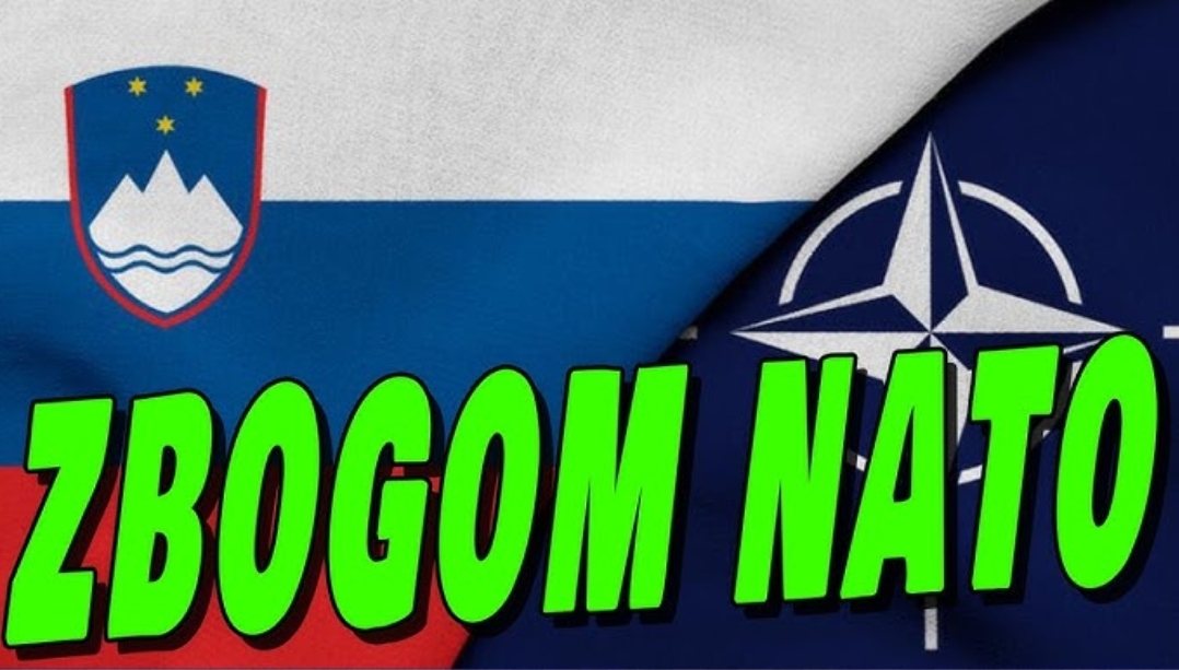 Screenshot_20260415_113619_Google